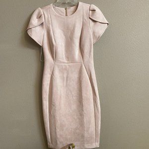 Calvin Klein Pink Formal Dress